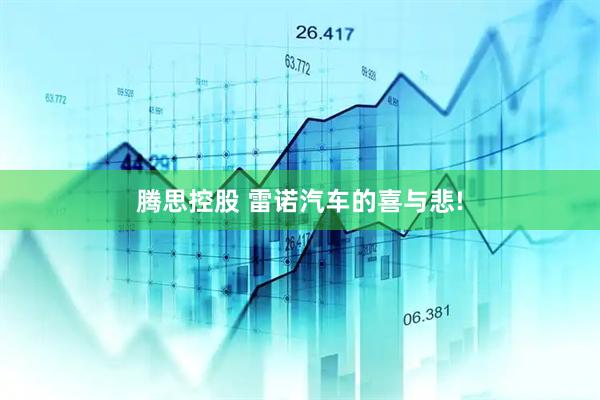腾思控股 雷诺汽车的喜与悲!