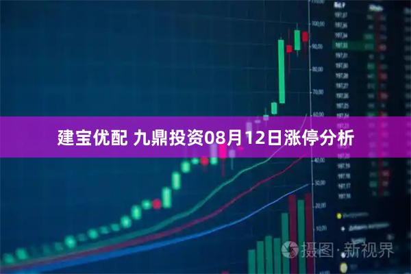建宝优配 九鼎投资08月12日涨停分析