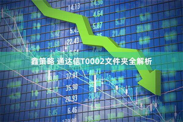 鑫策略 通达信T0002文件夹全解析