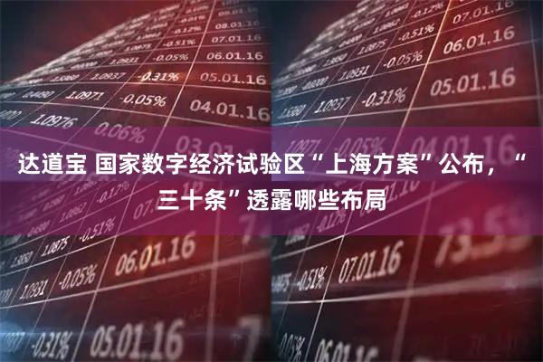 达道宝 国家数字经济试验区“上海方案”公布，“三十条”透露哪些布局