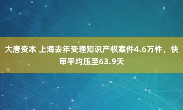 大唐资本 上海去年受理知识产权案件4.6万件，快审平均压至63.9天