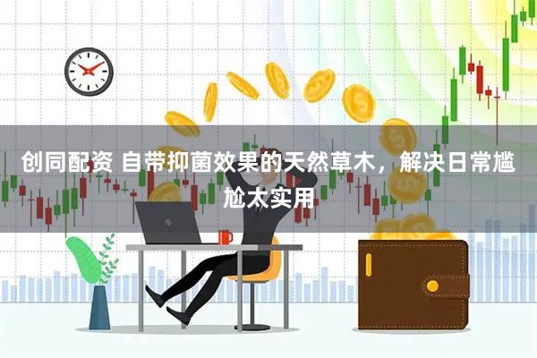 创同配资 自带抑菌效果的天然草木，解决日常尴尬太实用