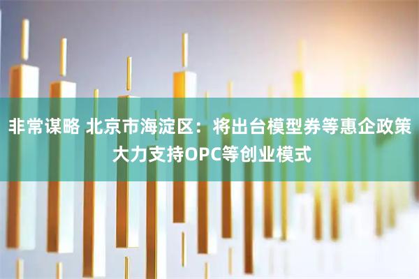 非常谋略 北京市海淀区：将出台模型券等惠企政策 大力支持OPC等创业模式