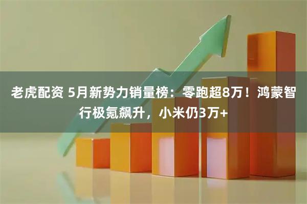 老虎配资 5月新势力销量榜：零跑超8万！鸿蒙智行极氪飙升，小米仍3万+